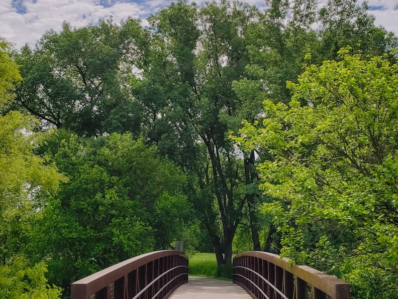 Photo of Gunnison River Trail Bridge project in Gunnison, CO